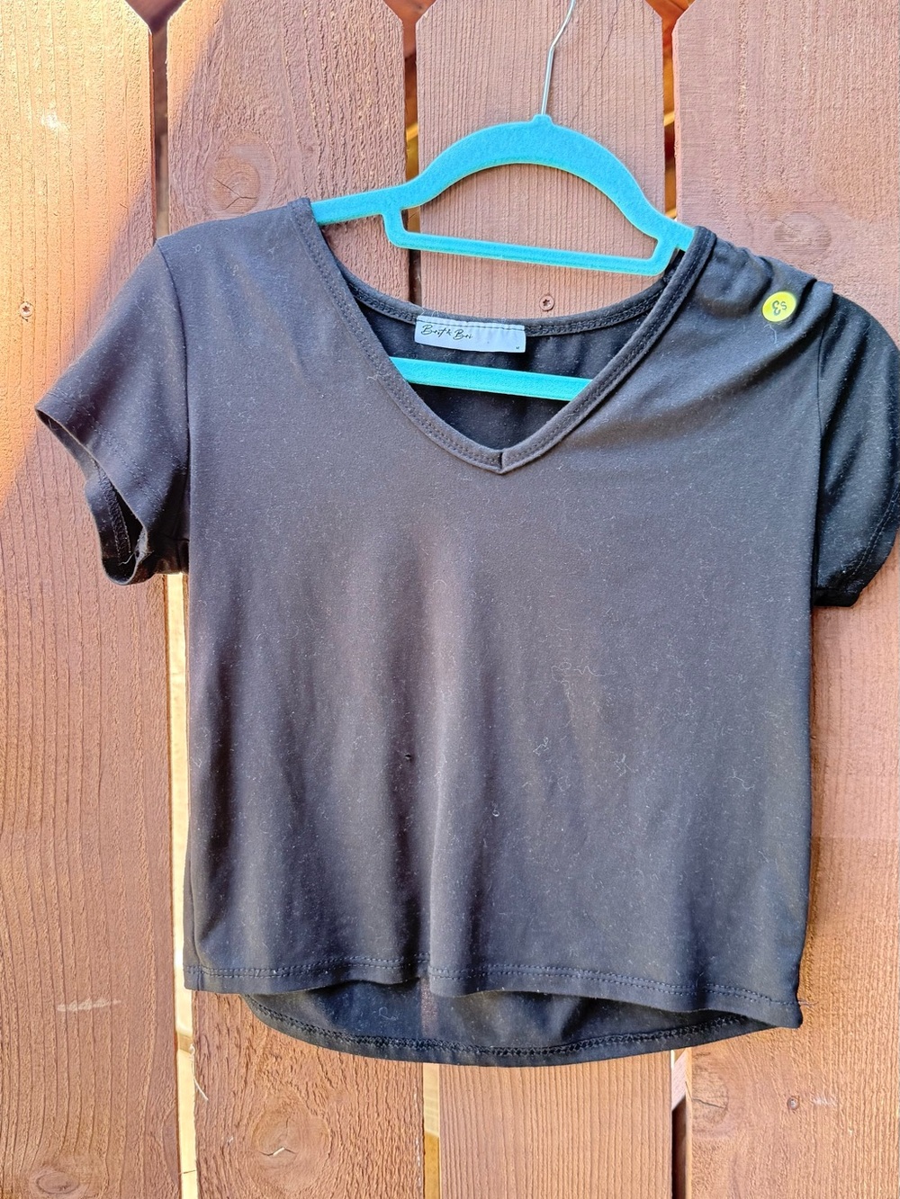 Basic Black V-Neck Cropped Tee